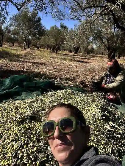 2026 Nalbant zeytin hasadında bahçedeki aile gözlemi