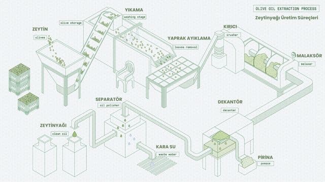 zeytinyagi nasil elde edilir