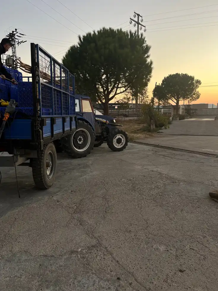 2025 zeytin hasadı sonrası Ayvada zeytinlerinin kasalarla sıkıma taşınması