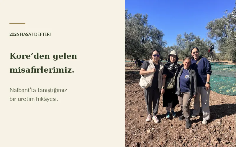Koreli konuklarımız ve AYVADA ekibi 2026 Nalbant zeytinliği ziyaretinde birlikte