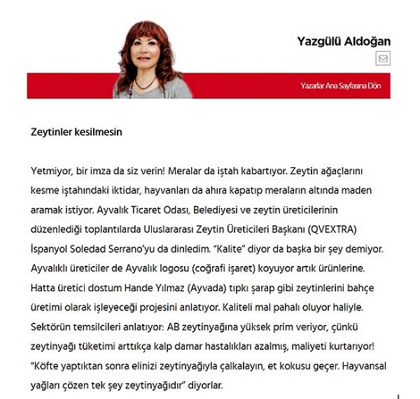Yazgülü Aldoğan’ın Posta Gazetesi’ndeki Zeytinler Kesilmesin yazısı ve Ayvada zeytinyağı kupürü