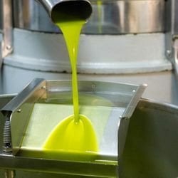 Gerçek Zeytinyağı Nasıl Anlaşılır? Sahte Yağdan Ayırmanın Bilimsel Yolları