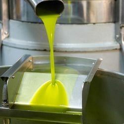 Gerçek Zeytinyağı Nasıl Anlaşılır? Sahte Yağdan Ayırmanın Bilimsel Yolları