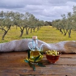 Erken Hasat Zeytinyağı Nedir? Gerçek Kaliteyi Belirleyen En Önemli Detay