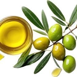 Günlük Kullanım İçin Zeytinyağı Hangisi?