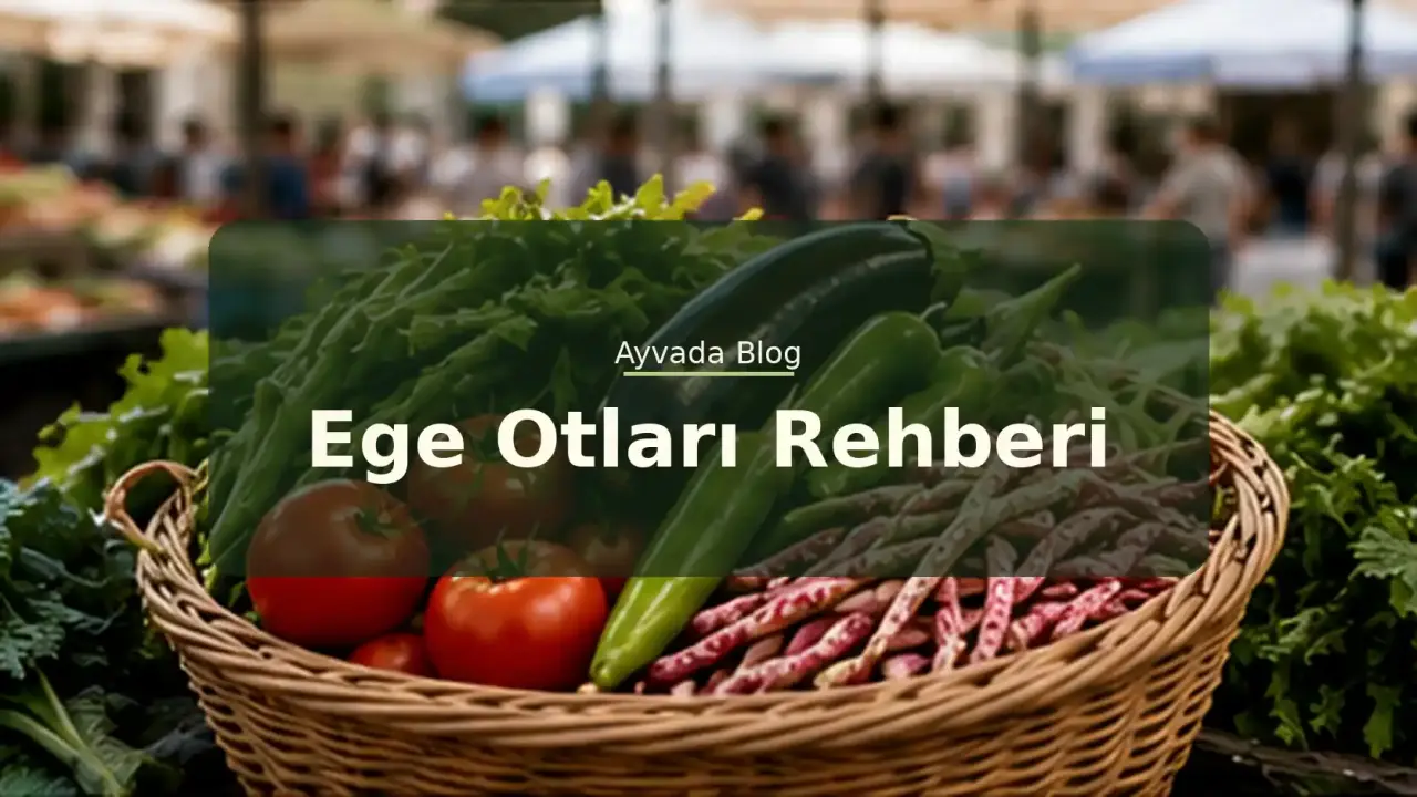 Ege Otları Rehberi: Hangi Ot Nedir, Nasıl Yenir?