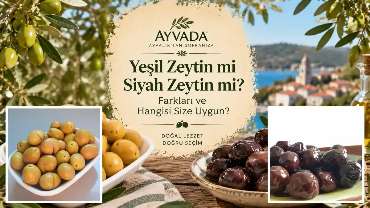 Yeşil Zeytin mi Siyah Zeytin mi? Farkları ve Hangisi Size Uygun?