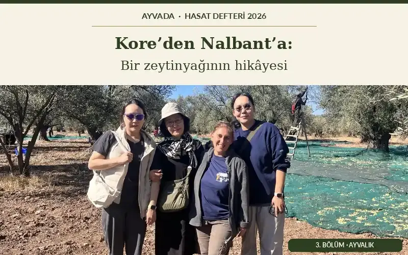 2026 Koreli Misafirler Nalbant Hasat Fabrika Ziyareti