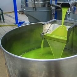 Zeytinyağı Nasıl Elde Edilir?