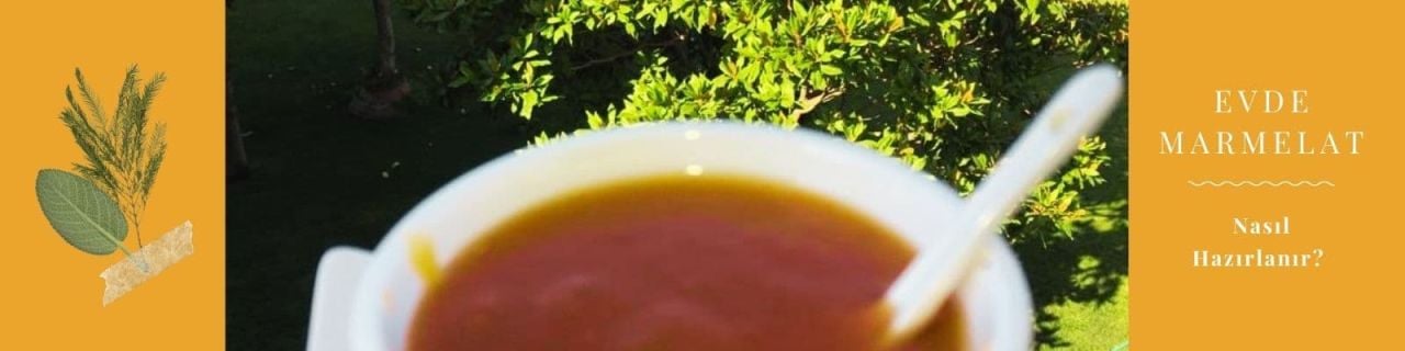 Evde Pratik Taze Kayısı Marmelatı Tarifi