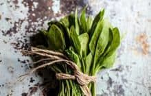 Bulgurlu Pazı Yemeği Tarifi