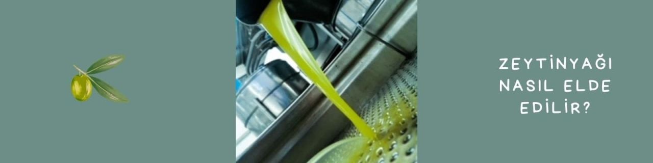 Zeytinyağı üretimi nasıl yapılır?