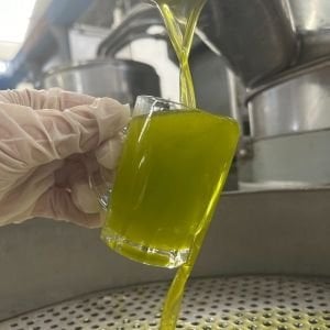 Limitli Rezerv Erken Hasat Soğuk Sıkım Zeytinyağı 3 Dizyem 1 L