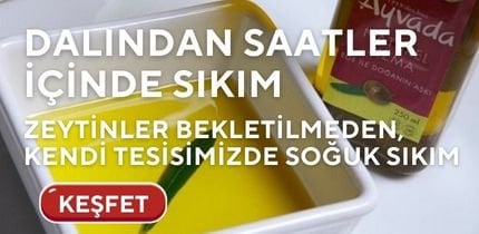 Ayvada ayvalik tek bahce soguk sikim naturel sizma zeytinyagi